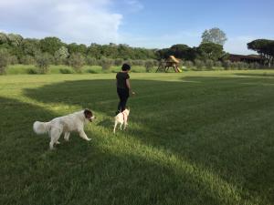 a woman and two dogs walking in a field at La Fattoria di Tirrenia in Tirrenia