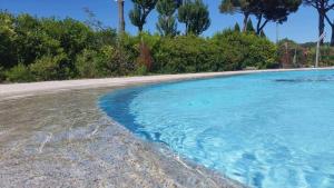 an empty beach with blue water and trees in the background at La Fattoria di Tirrenia in Tirrenia