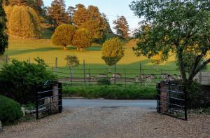 a herd of sheep in a field behind a fence at White Pond Farm in Pishill +4 photos