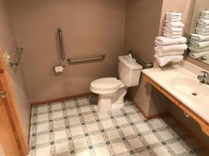 a bathroom with a toilet and a sink at Superior Ridge Resort Motel in Schroeder
