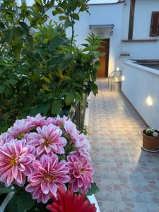 Zahrada ubytování B&B Di Fiore