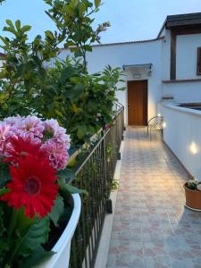 Zahrada ubytování B&B Di Fiore