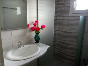 Koupelna v ubytování Meletis Studios