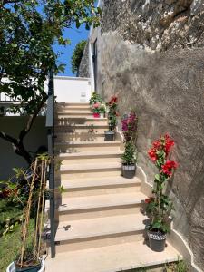 una rampa di scale con fiori in vaso di B&B Di Fiore a Peschici