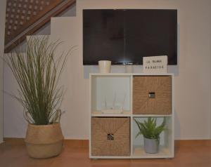 einen TV-Stand mit zwei Topfpflanzen und einem TV in der Unterkunft La Fajana Paradise in Barlovento