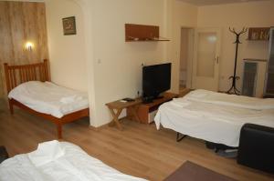a room with two beds and a flat screen tv at Hotel Vitosha in Tryavna