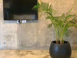 TV a/nebo společenská místnost v ubytování Come Sit Hostel