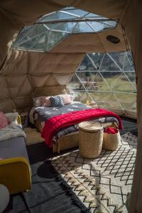 a room with a bed in a tent at Mt Gold Glamping in Wanaka +31 photos
