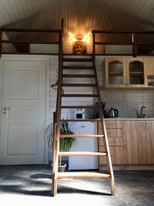 a loft bed with a ladder in a kitchen at Heinaka Kodu in Rakvere