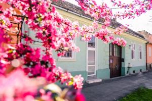 a house with pink flowers in front of it at ATRIUM 24 Studio in Sighişoara