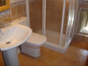 a bathroom with a toilet and a shower and a sink at Casa da Roncha in Noya +48 photos