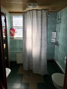 La salle de bains est pourvue d'un rideau de douche et de toilettes. dans l'établissement Heinaka Kodu, à Rakvere