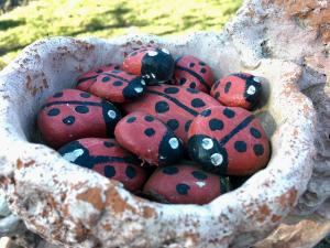a bunch of ladybugs sitting in a basket at Heinaka Kodu in Rakvere