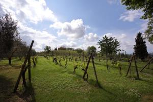 Zahrada ubytování Podere Biagio