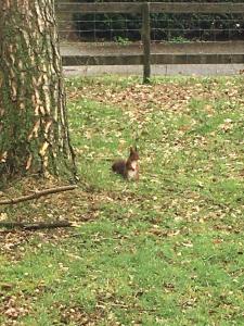 Billede fra billedgalleriet på Casa Vogelenzang i Otterlo + 30 billeder