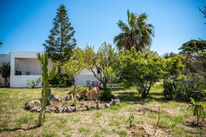 Imagen de la galería de Fotini Studios, en Kámpos