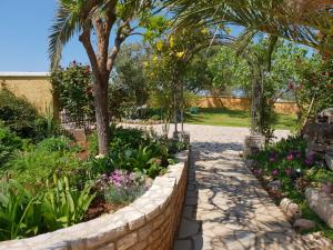 Zahrada ubytování Luxury apartment Marin - Your summer paradise in Pomer, terrace, garden, summer kitchen with barbecue, near the beaches, Istria