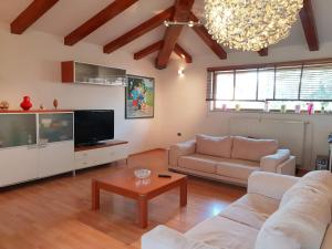 TV a/nebo společenská místnost v ubytování Luxury apartment Marin - Your summer paradise in Pomer, terrace, garden, summer kitchen with barbecue, near the beaches, Istria