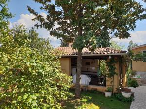 Zahrada ubytování Luxury apartment Marin - Your summer paradise in Pomer, terrace, garden, summer kitchen with barbecue, near the beaches, Istria