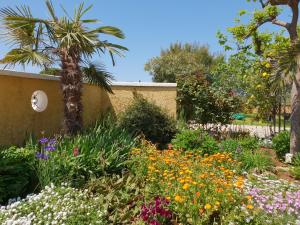 Zahrada ubytování Luxury apartment Marin - Your summer paradise in Pomer, terrace, garden, summer kitchen with barbecue, near the beaches, Istria