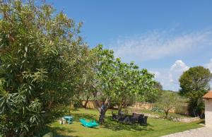 Zahrada ubytování Luxury apartment Marin - Your summer paradise in Pomer, terrace, garden, summer kitchen with barbecue, near the beaches, Istria