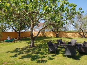 Zahrada ubytování Luxury apartment Marin - Your summer paradise in Pomer, terrace, garden, summer kitchen with barbecue, near the beaches, Istria