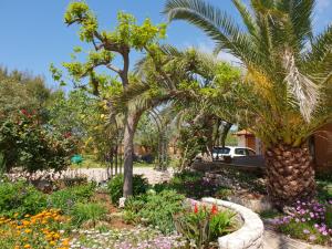 Zahrada ubytování Luxury apartment Marin - Your summer paradise in Pomer, terrace, garden, summer kitchen with barbecue, near the beaches, Istria