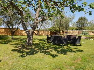 Zahrada ubytování Luxury apartment Marin - Your summer paradise in Pomer, terrace, garden, summer kitchen with barbecue, near the beaches, Istria