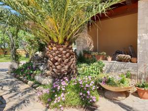 Zahrada ubytování Luxury apartment Marin - Your summer paradise in Pomer, terrace, garden, summer kitchen with barbecue, near the beaches, Istria