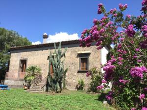 a house with a cactus in front of it at Agriturismo Sole di Sicilia in Randazzo