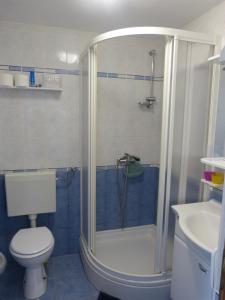 uma casa de banho com um chuveiro, um WC e um lavatório. em Studio apartman - MELLITUS em Molat