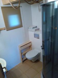 a small bathroom with a toilet and a shower at Domek Panorama in Lipowa