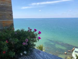 a view of the ocean with flowers on a wall at Ngoc Chau Phu Quoc Hotel in Phu Quoc