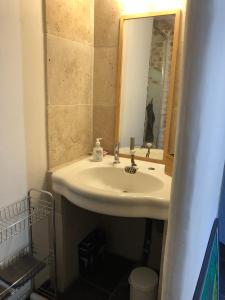 a bathroom with a sink and a mirror at 13 QUAI JEAN JAURES in L'Isle-sur-la-Sorgue +7 photos