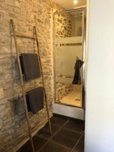 a bathroom with a towel rack and a shower at 13 QUAI JEAN JAURES in LʼIsle-sur-la-Sorgue