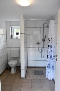 y baño con ducha y aseo. en Kutscherhof Broock, en Broock