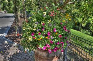 Afbeelding uit fotogalerij van Landhaus Waldfrieden in Tengen +62 foto's