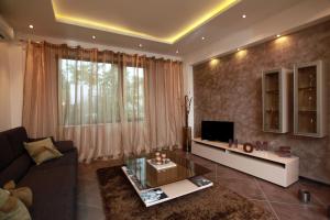ein Wohnzimmer mit einem Sofa und einem TV in der Unterkunft Brown Cottage Apartment in Sofia