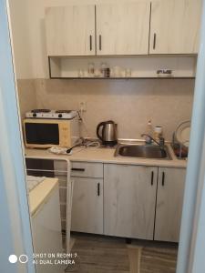 eine kleine Küche mit einer Spüle und einer Mikrowelle in der Unterkunft apartment Petr Beron in Warna