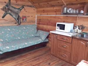 a living room with a couch and a microwave at Садиба Лісова казка in Szack