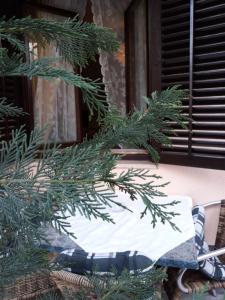 a table with a christmas tree branch in front of a window at Apartments Garden in Rovinj