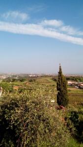 a view of a field with a tree in the foreground at La Corte di Nonno in Frascati