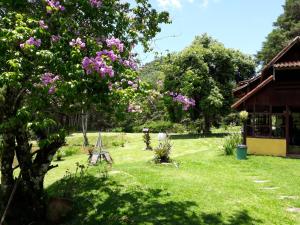 Um jardim em Pousada Cabanas da Serra Lumiar