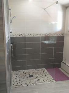 a bathroom with a shower with a glass door at Au petit bonheur in Saint-Martin-du-Frêne