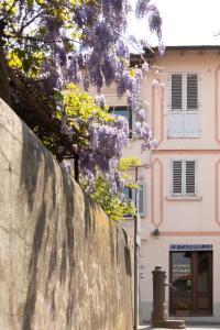 uma parede com uma árvore de flores roxa em frente a um edifício em B&B Le Cannelle FIESOLE em Fiesole