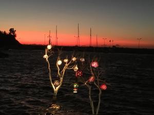uma árvore com luzes de Natal na água em Sun Garden Apart Hotel em Yalıkavak