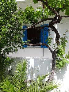 Zahrada ubytování Hotel Neos Matala
