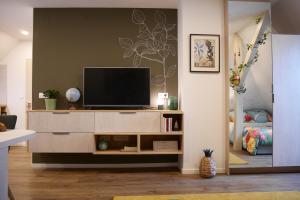 TV a/nebo společenská místnost v ubytování Le Jardin des Roses