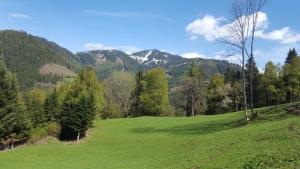 a green field with trees and mountains in the background at Kloiberhof in Öblarn
