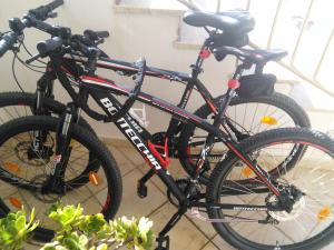 Jazda na bicykli v okolí ubytovania Zibi&Bibbo